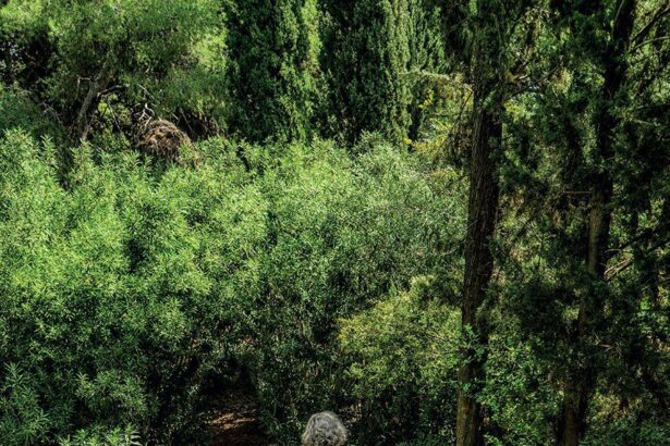 Με προκράτηση εισόδου θα ανοίξει ο Διομήδειος Κήπος 3