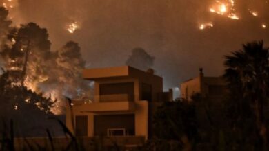 Γεράνεια Όρη: Τεράστια καταστροφή σε παρθένο δάσος - Κάηκαν σπίτια 35