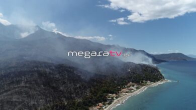 Οι πρώτες εικόνες του καμένου Αλεποχωρίου από ψηλά 33