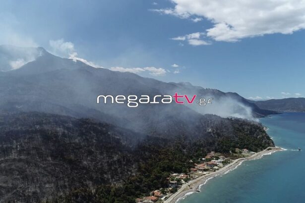 Οι πρώτες εικόνες του καμένου Αλεποχωρίου από ψηλά 3