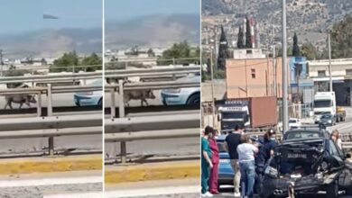Αγριογούρουνο στην Εθνική Οδό, αιτία σοβαρού τροχαίου - Βίντεο 11