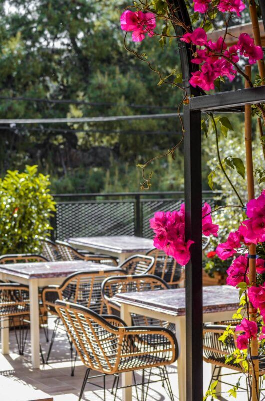 Κι όμως… η Trattoria κατάφερε να ανεβάσει κι άλλο τον πήχη! 15