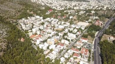 Τα αγριογούρουνα στους δρόμους, συστάσεις από το Δασαρχείο στους πολίτες 9
