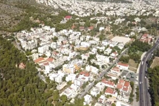 Τα αγριογούρουνα στους δρόμους, συστάσεις από το Δασαρχείο στους πολίτες 11