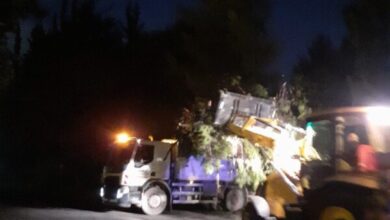 Η μπόρα έρριξε πεύκο στην Ιερά Οδό 23