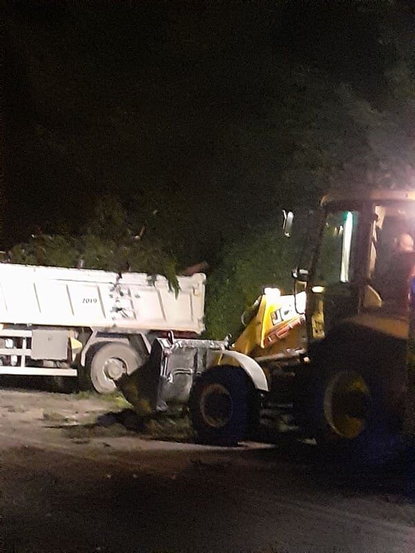 Η μπόρα έρριξε πεύκο στην Ιερά Οδό 3