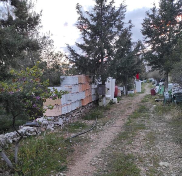 Το "άβατο" του Θεαθήναι 3