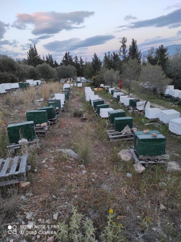 Το "άβατο" του Θεαθήναι 1
