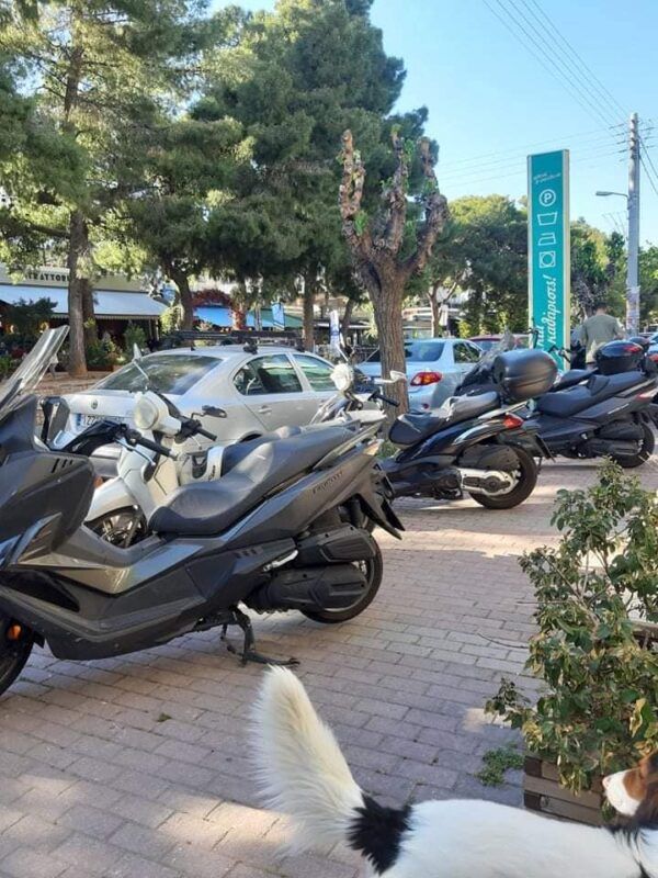 Πρωινός περίπατος στην Καραϊσκάκη 13