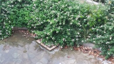 Μια πλατειούλα, “χίλια” προβλήματα: Ξεχείλισαν ο αγωγός και η αγανάκτηση 18