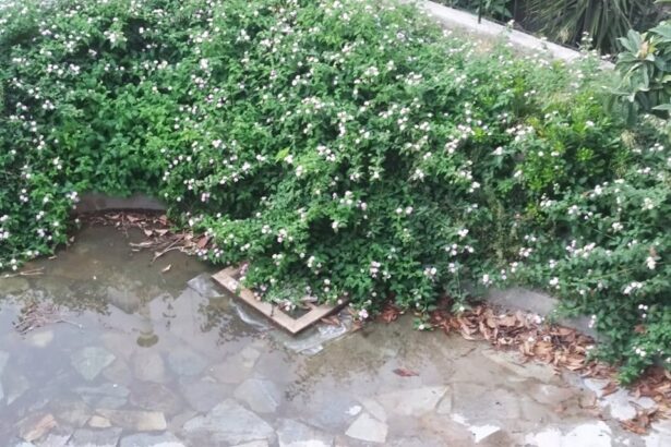 Μια πλατειούλα, “χίλια” προβλήματα: Ξεχείλισαν ο αγωγός και η αγανάκτηση 11