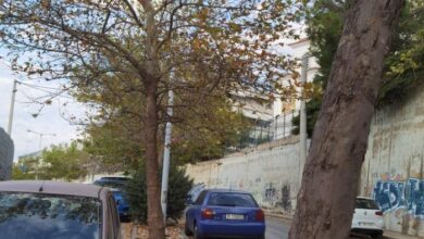 "Οι ταξιτζήδες ποτίζουν τα πλατάνια με τα μπουκαλάκια!" 3
