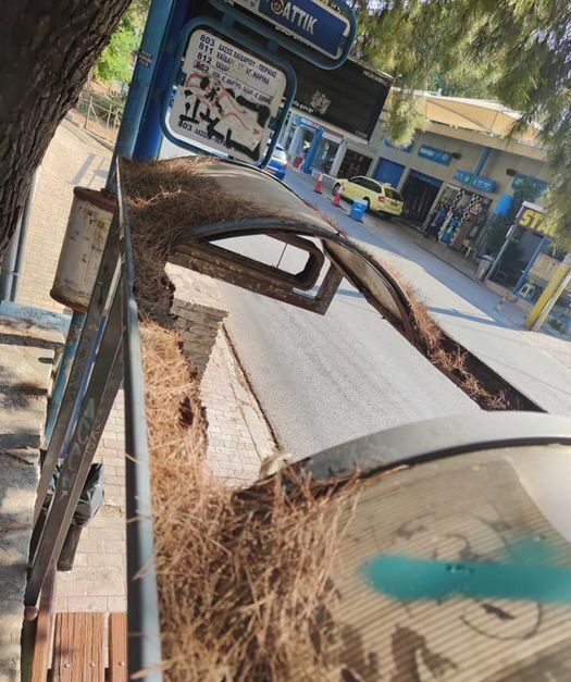 Πρωινός περίπατος στην Καραϊσκάκη 15
