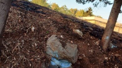 Δαφνί: Δύο φωτιές στο ίδιο σημείο! - Βρέθηκε ο "ένοχος" 51