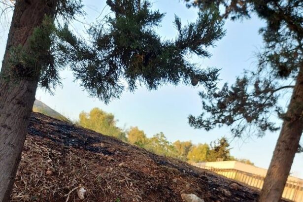 Δαφνί: Δύο φωτιές στο ίδιο σημείο! - Βρέθηκε ο "ένοχος" 11