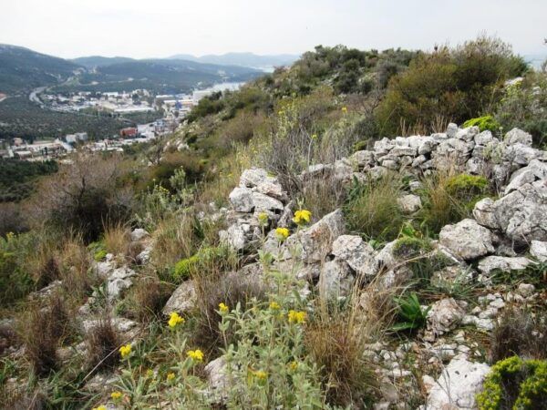 1821 – 2021: Τα ταμπούρια των Αγωνιστών της Ελληνικής Επανάστασης του ’21 στο Ποικίλο Όρος 8 1821 – 2021: Τα ταμπούρια των Αγωνιστών της Ελληνικής Επανάστασης του ’21 στο Ποικίλο Όρος 7