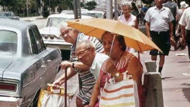 Πόσο δροσίζουν τα δέντρα την πόλη το καλοκαίρι; 7