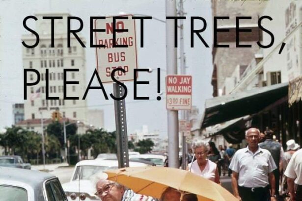 Πόσο δροσίζουν τα δέντρα την πόλη το καλοκαίρι; 35