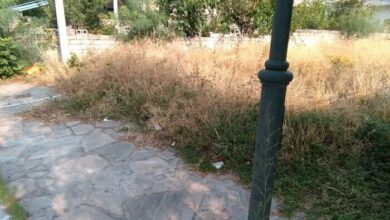 Ακαθάριστα οικόπεδα, η χαρά της φλόγας 1