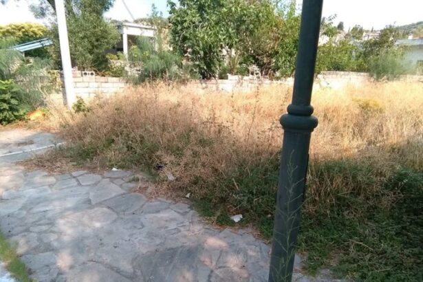 Ακαθάριστα οικόπεδα, η χαρά της φλόγας 27