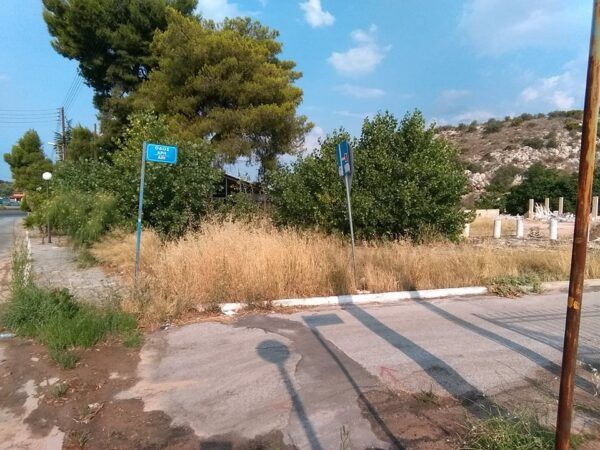 Ακαθάριστα οικόπεδα, η χαρά της φλόγας 7