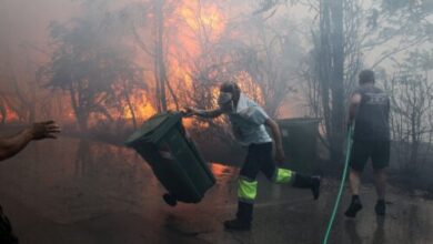 Ένωση Δασολόγων: Να αλλάξει το νομικό πλαίσιο για την αντιπυρική προστασία 1