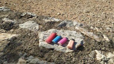 Αναπτήρες βρέθηκαν στο Ποικίλο από εθελοντές της Πυρασφάλειας 1