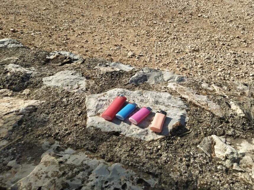 Αναπτήρες βρέθηκαν στο Ποικίλο από εθελοντές της Πυρασφάλειας 2 Αναπτήρες βρέθηκαν στο Ποικίλο από εθελοντές της Πυρασφάλειας 1