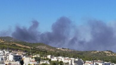 Άνω Λιόσια: Μεγάλη φωτιά στο Ποικίλο 103