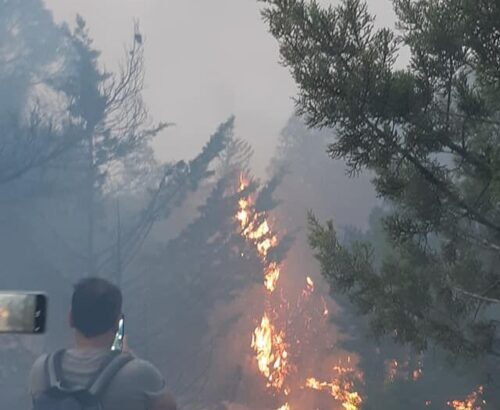 Μεγάλη φωτιά σε δασική έκταση στο Ποικίλο 23