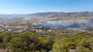 "Από τη χωματερή της Φυλής ξεκίνησε η φωτιά στο Ποικίλο" 87
