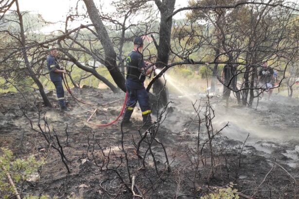 Φωτιά στο Σχιστό από κεραυνό 39