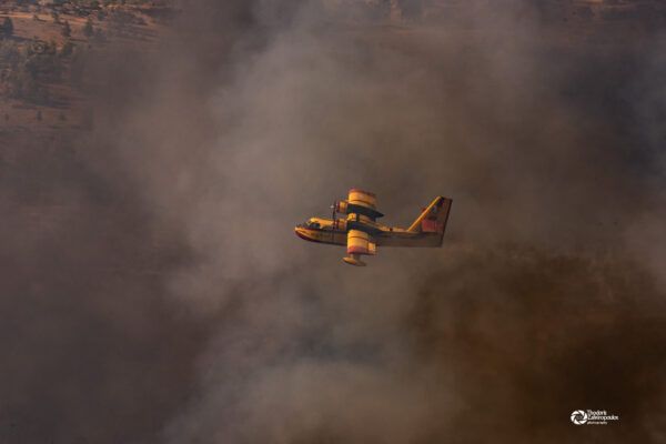 Greenpeace: Πυρκαγιές Αύγουστος 2021 – Μύθοι και αλήθειες 4 Greenpeace: Πυρκαγιές Αύγουστος 2021 – Μύθοι και αλήθειες 3