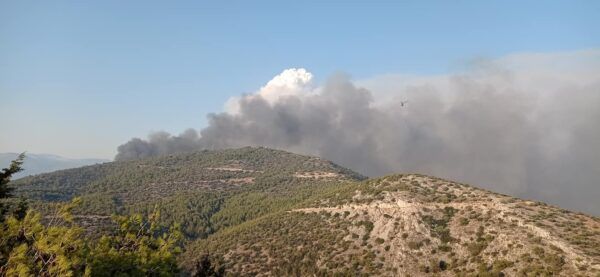 Μαίνεται η φωτιά στο Ποικίλο Ορος πίσω από την Πετρούπολη - Αιτία ένα καντήλι 3