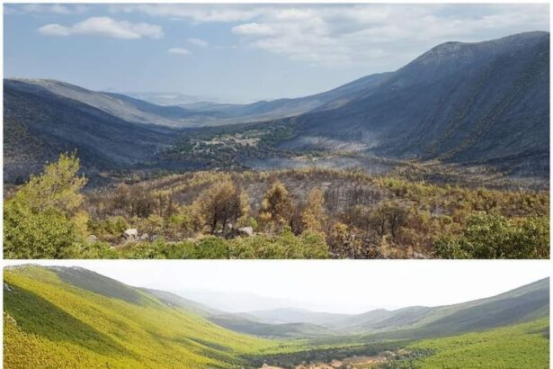 Πόση θλίψη μπορεί να χωρέσει; 3