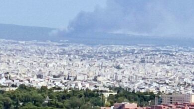 Φωτιά στη Βαρυμπόμπη 7