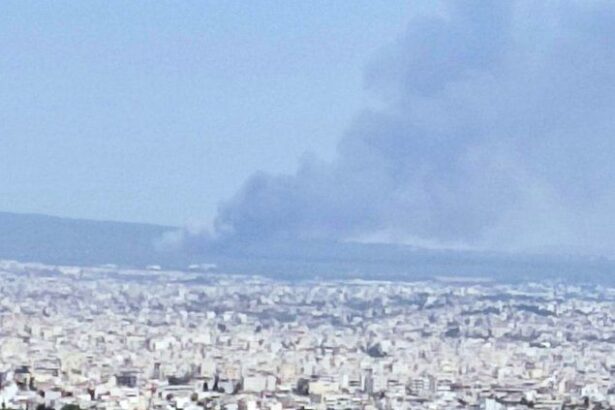 Φωτιά στη Βαρυμπόμπη 19