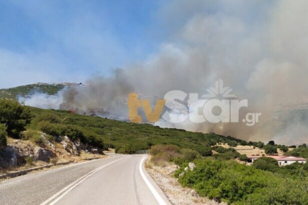 Φωτιά στη Νότια Εύβοια 19