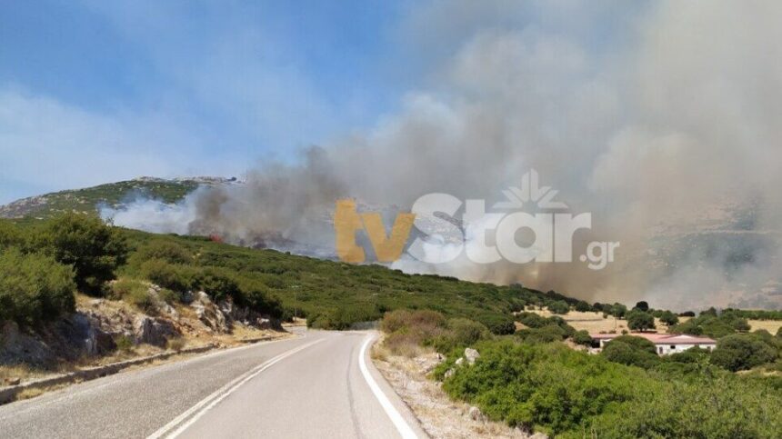 Φωτιά στη Νότια Εύβοια 1