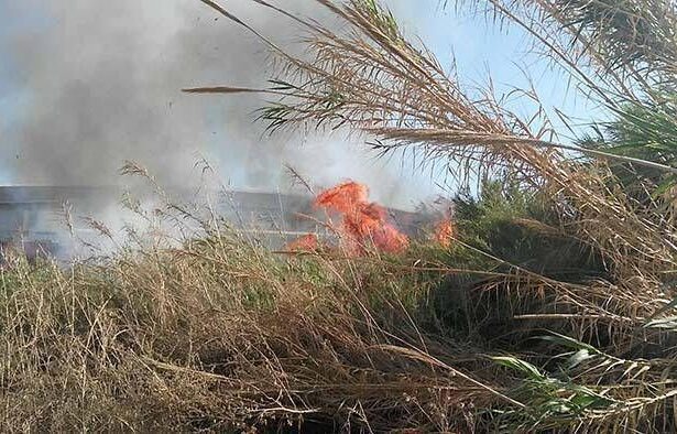 Καταδίκη 54χρονου για εμπρησμό στο Χαϊδάρι 11