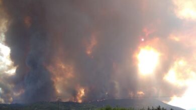 Θοδωρής Αρβανίτης, βιοκαλλιεργητής: Το χρονικό της φωτιάς στον Μαραθώνα... 11