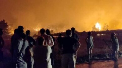 Σύλλογος Γυναικών Χαϊδαρίου: Αλληλεγγύη στους πυρόπληκτους 7