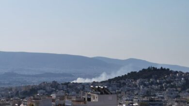 Φωτιά στον Ελαιώνα, ισχυρή δύναμη της Πυροσβεστικής στο σημείο 37
