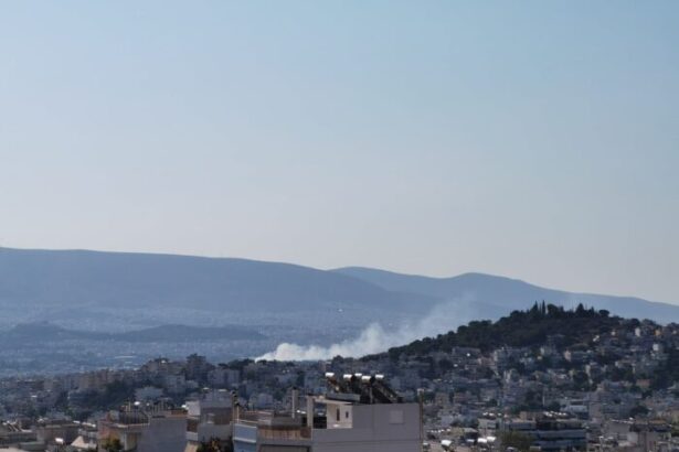Φωτιά στον Ελαιώνα, ισχυρή δύναμη της Πυροσβεστικής στο σημείο 35