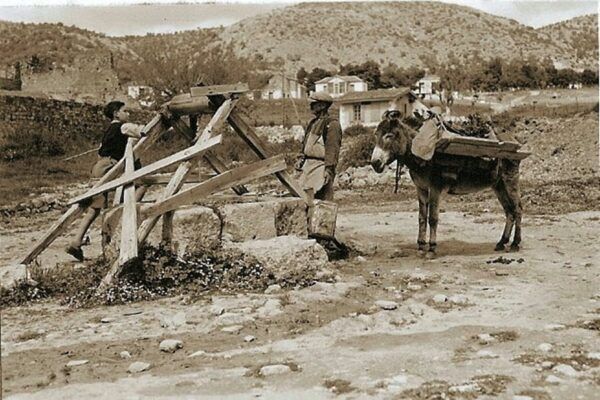 Το ποταμάκι του Δαφνιού νίκησε και το φετινό καυτό καλοκαίρι! 13