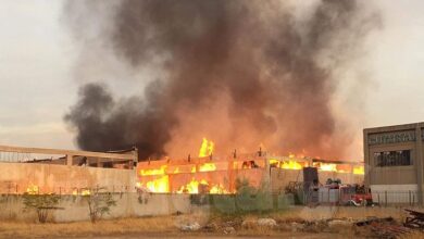 Μεγάλη πυρκαγιά σε εργοστάσιο ξυλείας στον Ασπρόπυργο 9