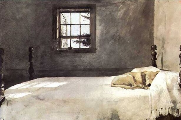 Άνθρωποι που ζουν χρόνια με το σκύλο τους, δε σκέφτονται ότι αγαπούν ένα ''ζώο'' 27