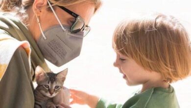 Εκδήλωση γεμάτη αγάπη για τα αδεσποτάκια του Δήμου μας 35