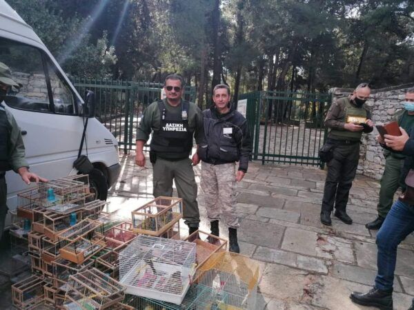 Μεγάλη επιχείρηση της Δασικής Υπηρεσίας την Κυριακή με βάση τον Διομήδειο Κήπο 4 Μεγάλη επιχείρηση της Δασικής Υπηρεσίας την Κυριακή με βάση τον Διομήδειο Κήπο 3