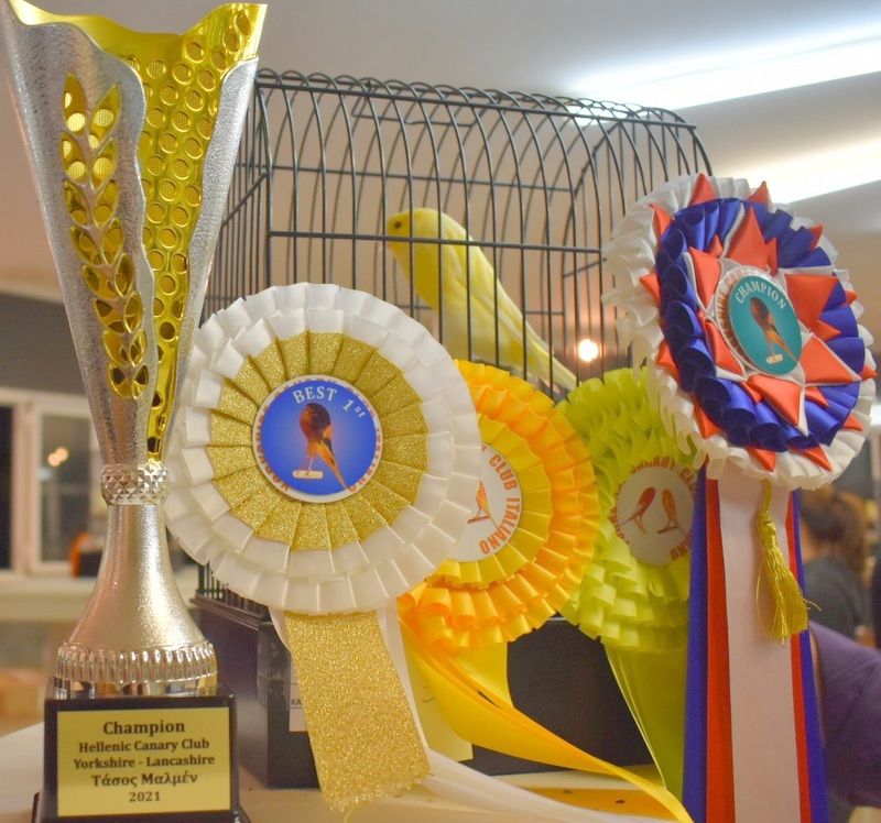 Υπέροχα πουλιά στα καλλιστεία καναρινιών, στο Χαϊδάρι 1